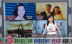 張淑娟駁「蔣孝嚴晶華女主角」喊告！周玉蔻：歡迎！讓司法查證22年懸案