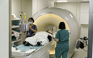 找中國專家來台救「團團」？柯文哲：不太可能 總不能要求貓熊長命百歲