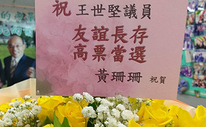 王世堅稱感情理智拔河 黃珊珊贈33朵黃玫瑰：衷心盼老友順利當選