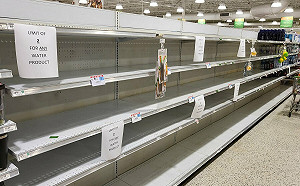 颶風將侵襲佛州 民眾「恐慌性搶購」超市被一掃而空