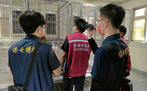 民眾舉報狗叫聲疑似犬受虐  新北動保處循線救出44隻保育類鸚鵡