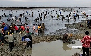 (影) 萬人「守株待魚」! 安徽城西湖水位降 上萬人搶抓魚 交通大堵塞