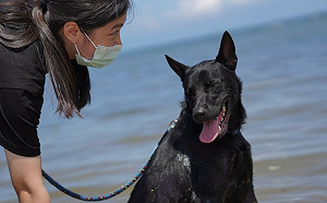 新北海尾仔海岸  淡水動物之家毛寶貝戲水消暑秘境