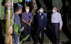 日日熱線關心農產價  陳其邁推出多元措施因應香蕉盛產