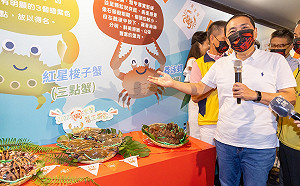 萬里蟹！正當食，侯友宜攜手Fubon Angels邀請民眾遊玩品蟹
