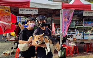 世界狂犬病日 新北101家動物醫院享150元疫苗優惠價