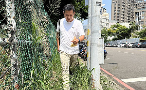 打臉沈慧虹交通專業 國民黨狠酸：畢竟只是副市長格局