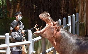 園區暢行無阻！竹市動物園認養卡享「一年免費入園＋多項卡友活動」