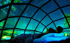 懶人包》解封倒數國外團旅開賣！5大旅遊業者優惠措施一次看