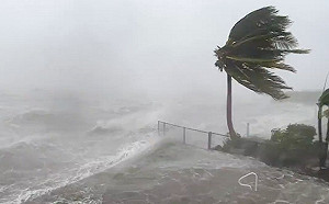 至少104人喪生 損失超過500億美元 專家 : 颶風伊恩將影響美GDP增長