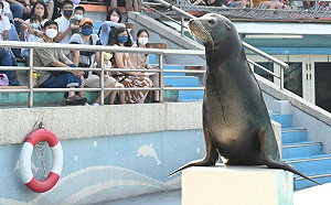 最後5天！下週平日全台19間遊樂園門票3折 補助只到10/7