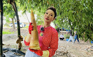 半夜拋震撼彈！楊繡惠不拍八點檔了