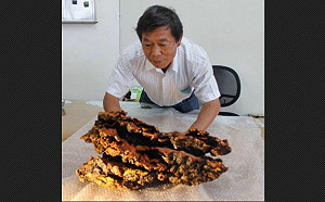 南投槍擊4死！老董賴敏男低調出院