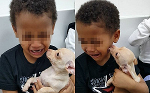 (影)抱著狗狗！小男孩爆哭：我有狗狗了