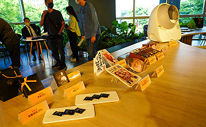 「新北淘金」直播分享會 超高含金量！