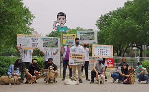 世界動物日 中市議員參選人洪鑫任發表寵物友善政見