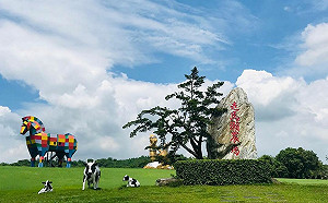 看準疫後旅遊潮！台南「休閒農業團體補助」10/11開放申請