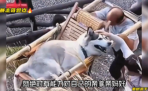 踐踏人類尊嚴? 中國女子疑狗兒子中暑僱人抬轎上山 引網民砲火
