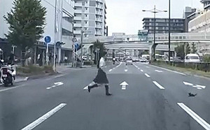 (影)幼貓卡車陣！女高中生勇敢救援