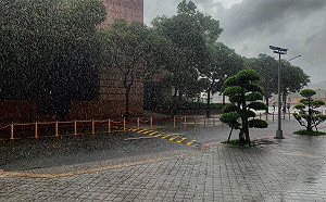 寒露到！東北季風更強「2波變天」