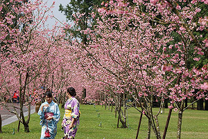 228連假遊南投 遊樂園祭出免門票優惠