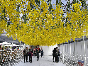 「懷舊焢土窯」 屏東農博火熱登場
