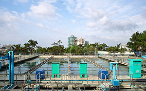 中幅淨水廠鋁超標 水公司：個案