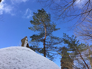 呼應《跨越國境﹒潮》 林舜龍冬季藝術祭《等待春天》