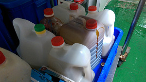 營養午餐仙人掌桿菌超標 北市罰供應商