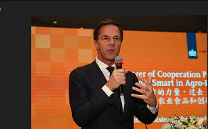 歐洲政壇大地震  荷蘭爆醜聞總理閃辭  義大利內閣絕裂恐分崩離析