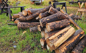 俄天然氣減供 歐洲人「回到過去」燒木材取暖過冬