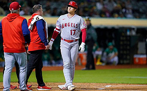 美聯MVP延燒到日本 上原:該頒2座獎