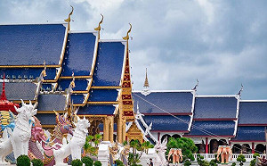 東南亞新玩法曝光　「這類人」快衝