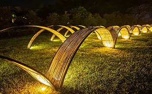 夜景打卡新地標快衝！2022台東光祭10/15登場