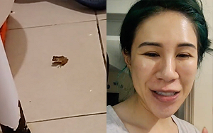 半夜直播抓青蛙！丹妮婊姐崩潰：大家救救我