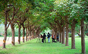 新北創新加速器培育高中跨域人才領先全國