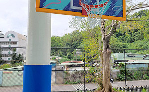 新北泰山體育園區戶外籃球場 今起開放鬥牛