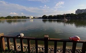 「MEET桃CHILL嘿埤」周末到桃園八德遊埤塘逛古蹟