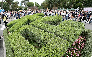 台大修改規章  要求碩博論文須比對原創性