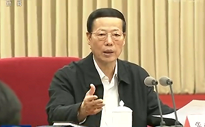 深陷性侵醜聞後首次現身 ! 張高麗出席二十大會場