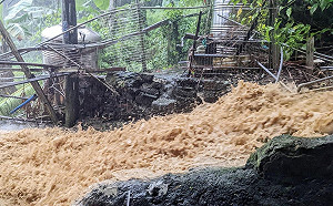 台北關鍵3小時！徐巧芯：民眾對父母官的期待與感受超越SOP規範