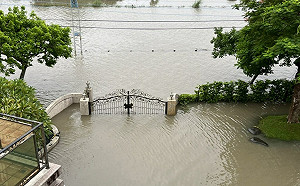 雨彈襲北東！宜蘭縣農損達157萬  農委會：薑受損最嚴重
