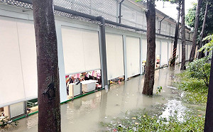 樹林保安市場淹水  新北市場處：大雨致公園水溝排水不及 已先行清淤