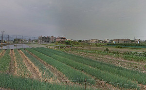 「尼莎」颱風釀災！全台農損上千萬 農委會：宜蘭縣受損772萬最多