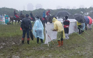 北市1暴雨仍照辦馬術賽 議員砲轟市府草菅「馬」命