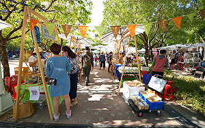 台中里山市集10/22登場！60森林系攤位深入體驗林區魅力