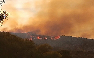 (影)美軍F-35墜毀爆炸起火！飛行員彈射逃生 目擊者：發動機在冒煙