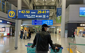 2023海外跨年城市排行！台人最愛這