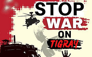 當前最慘烈戰場 百萬大軍在衣索比亞北部用人海戰術廝殺