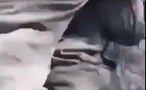 (影)不滿鄰兵祈禱 俄士兵狂毆穆斯林同袍還罵｢你的阿拉讓我作噁!｣